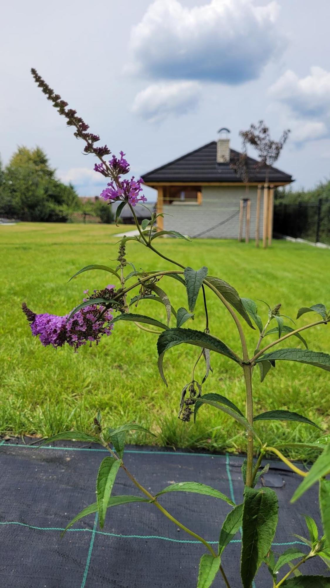 Gorskie Przysiolki W Koniakowie - Dom Z Bala Jodelka Koniaków Exterior foto